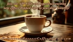12 Oz Ethiopian Yirgacheffe Coffee | 100% Arabica Coffee Beans | Fresh Roasted