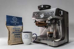 100% Pure Jamaican Blue Mountain Coffee – Gold 8oz – Grade I