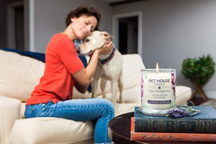 Pumpkin Pie Pet Odor Candle, 60 Hour Burn Time, 2 Pack