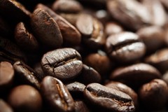 2025 Florida Cracker Cowboy Coffee – Fresh Roasted Coffee Beans, “3 bags”