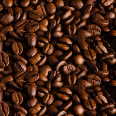 DOTA COSTA RICAN TARRAZU COFFEE BEANS MEDIUM ROASTED 2 POUNDS