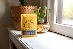Stumptown Homestead Blend Whole Bean Coffee 12 Ounce Light and Balanced Brew