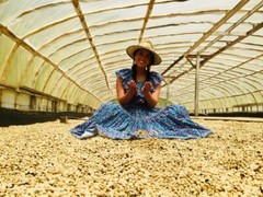 COLOMBIAN GREEN COFFEE – CATURRA, ARABICA – SINGLE ESTATE – HUILA, CO – 10 LB