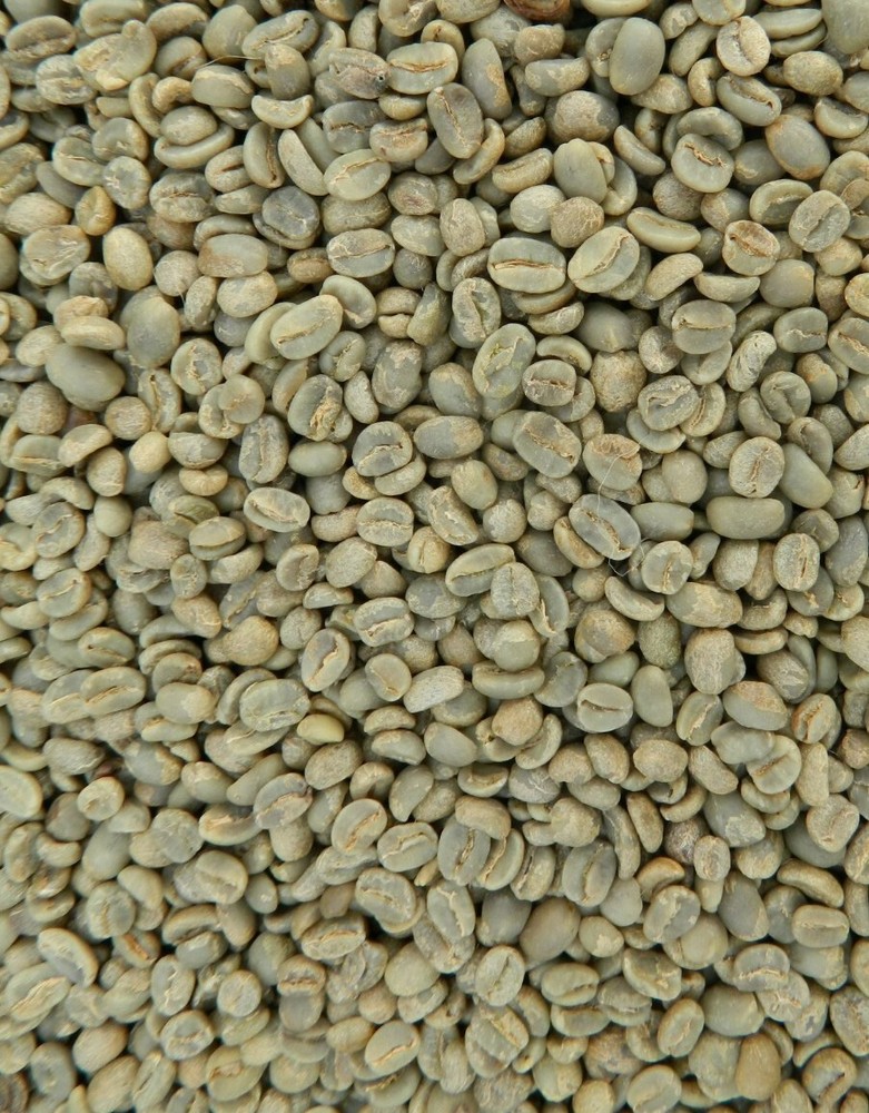5 LBS GUATEMALA GUATEMALAN FRESH UNROASTED GREEN COFFEE BEANS – ARABICA