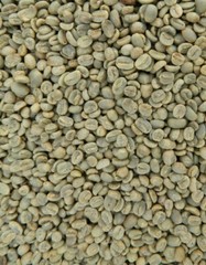 5 LBS HONDURAS HONDURAN FRESH UNROASTED GREEN COFFEE BEANS – ARABICA