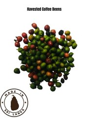 Ceylon 100% Pure Organic Natural Arabica Coffee Been Black Roasted Unroasted
