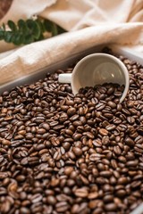 Scotty D’s 100% Jamaican Blue Mountain Coffee (medium roast) (roasted Beans)