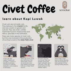 500g Luwak Coffee Arabica Gayo 100% Wild Civet Whole Beans Coffee Roasted
