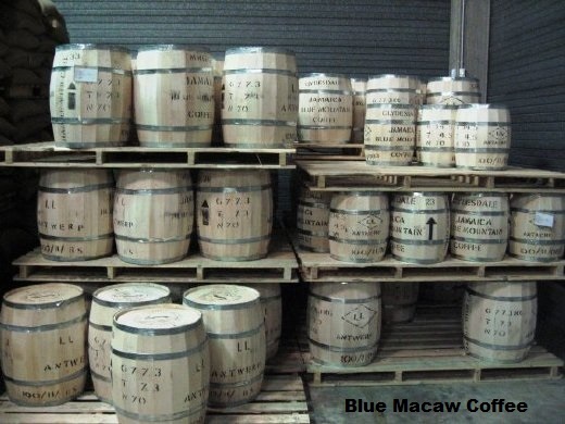 Jamaican Blue Mountain & Kona Coffee Beans Medium Roasted 3 / 1 Pounders of Each