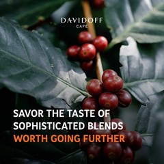 New DAVIDOFF Crema Elegant Whole Beans- 6/12 Intensity – 500 g | Free Shipping