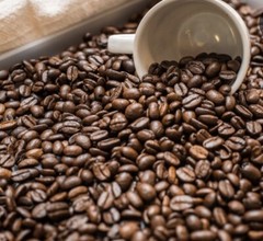 2, 5, 10 LB COLOMBIA EXCELSO FRESH ROASTED COFFEE WHOLE BEAN, GROUND – ARABICA