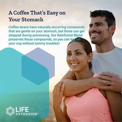 Life Extension Rainforest Blend Whole Bean Coffee Organic 12 Ounces 2 Pack
