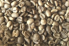 Swiss Water Decaf – 4 lbs. – Green Colombia Coffee Beans For Home Roasters