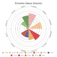 Ethiopia Sunrise – (Light Roast) 312g, 11oz Bag