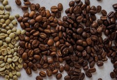 2, 5, 10 LB COLOMBIA EXCELSO FRESH ROASTED COFFEE WHOLE BEAN, GROUND – ARABICA