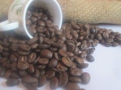 Arabica Golden Brown Roast Roasted coffee beans 30gms