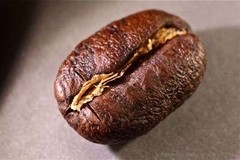 Kenya Karani Peaberry Coffee Beans Fresh Roasted Medium Daily 5 X 1 Pound Bags
