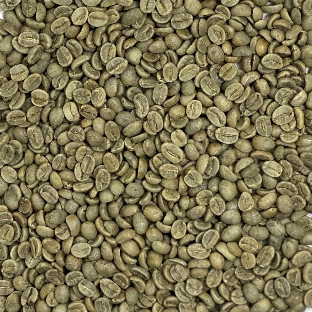 Green Coffee Beans / Colombian El Gato Supremo Bucaramanga/ 5 Pound / UNROASTED