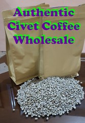 6 lb, Maison du Cafe de Bondowoso – Kopi Luwak / Civet Coffee Arabica Bean