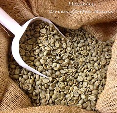 5 lbs Green Coffee – Nicaragua Jinotega green coffee – chocolate, floral, berry