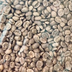 5 LB CATURRA, ARABICA – SINGLE ESTATE – COLOMBIAN UNROASTED GREEN COFFEE BEANS 