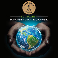 Lavazza ¡Tierra! Organic for Planet Whole Bean Coffee, Light Roast, 100% Arabica