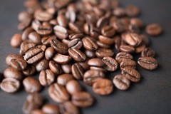 Scotty D’s 100% Jamaican Blue Mountain Coffee (medium roast) (roasted Beans)