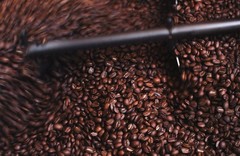 HONEY-BEAR | Black Edition – Dark Roast, Highest Rated Coffee – Limited Editi…