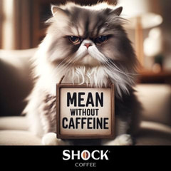 Shock Coffee Whole Bean the Strongest Caffeinated All-Natural Coffee 1 Pound