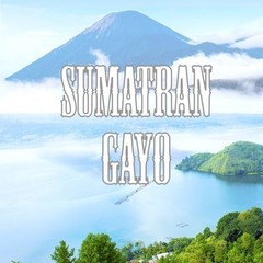 Sumatra Gayo Coffee, Whole Bean, Low Acid, Fair Trade, Fresh Roasted, Kosher,…