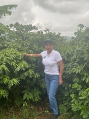 KENYA AA COFFEE BEANS DARK ROASTED 5 POUNDS
