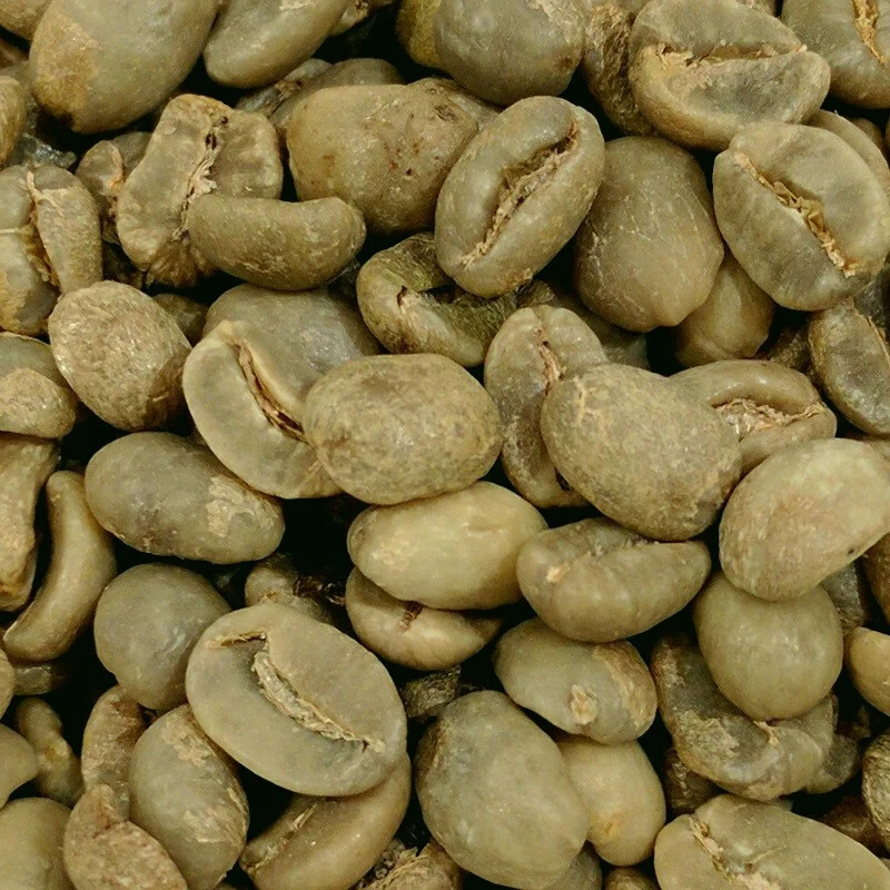 Honduras HG EP Organic Green Unroasted Coffee 5 lb