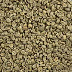 4 LBS Peru Organically Grown Green Coffee – Peruvian Arabica for Home Roasting