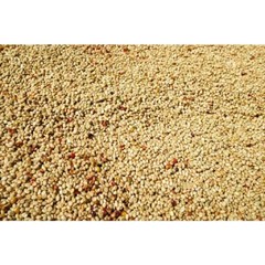 JIN Coffee CR Arabica + Robusta Dark Roasted Coffee Beans from Chiang Rai 500 G.