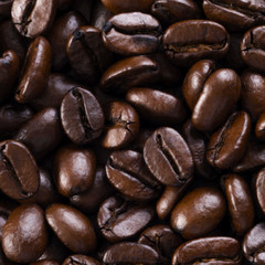 ETHIOPIAN YIRGACHEFF COFFEE BEANS DARK ROASTED 5 POUNDS