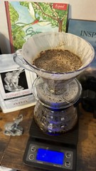 Elephant Spirit Coffee Roasters, Arabica Coffee, Guatemalan Coffee, Medium Roast