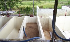 WORLD TOUR FRESH ROASTED COFFEE SAMPLER #2 MEDIUM ROASTED 6 LBS IN ! POUND BAGS