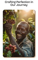 Uganda, Ethiopia & Columbia Organic Coffee, 3 Packages, 11Oz each, Medium Roast.