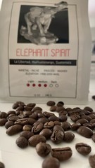 Elephant Spirit Coffee Roasters, Arabica Coffee, Guatemalan Coffee, Medium Roast