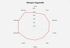 Roastika – Ethiopia Yirgacheffe – Premium Green Coffee Bean – Unroasted Coffee B