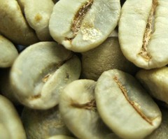 HelloYoung Brazil Green Coffee Bean 500g Natural Healthy Drink Original
