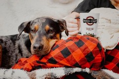 Verena Street 2 Pound Whole Bean Coffee Medium Roast Juliens Breakfast Blend