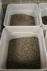 100% Ethiopia Yirgacheffe (Washed) Green Beans (1 Lb.)