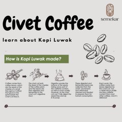 1 Kg Luwak Coffee Arabica Gayo 100% Wild Civet Whole Beans Coffee Roasted