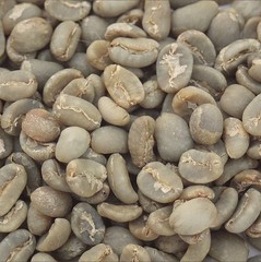 Green Coffee Beans / Sumatra Lake Toba Lintong/ 10 Pound / UNROASTED