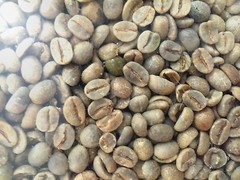 12 lbs Green Coffee – Brazil green beans – specialty grade green beans