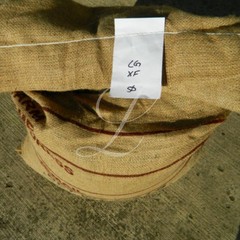 Kona Extra Fancy Coffee, 5 x 1 lb Bags, Medium Roasted to Order or Green Beans