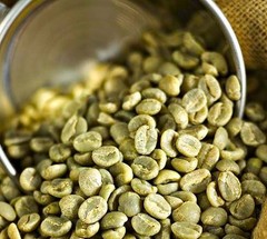5 LB Guatemala Huehetenango SHB EP – GREEN COFFEE for home roasters