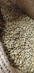 5 LBS ETHIOPIAN ETHIOPIA LEKEMPTI GREEN UNROASTED COFFEE BEANS – ARABICA
