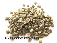 4 LBS Green Coffee – Guatemala Huehuetenango – specialty grade green beans